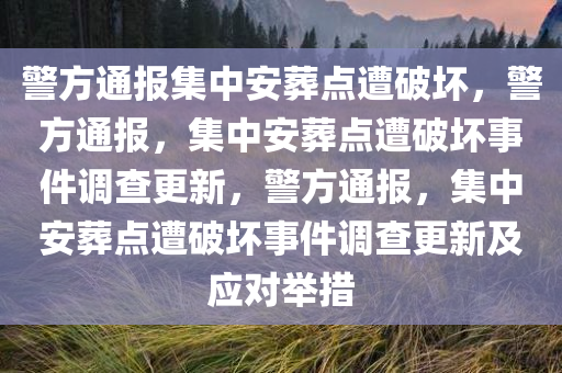 警方通报集中安葬点遭破坏，警方通报，集中安葬点遭破坏事件调查更新，警方通报，集中安葬点遭破坏事件调查更新及应对举措