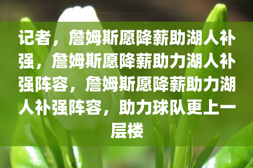 记者，詹姆斯愿降薪助湖人补强，詹姆斯愿降薪助力湖人补强阵容，詹姆斯愿降薪助力湖人补强阵容，助力球队更上一层楼