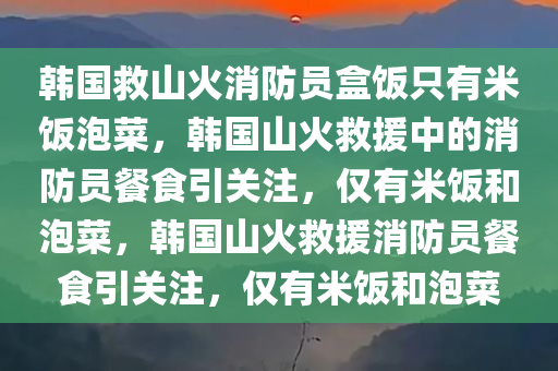 韩国救山火消防员盒饭只有米饭泡菜，韩国山火救援中的消防员餐食引关注，仅有米饭和泡菜，韩国山火救援消防员餐食引关注，仅有米饭和泡菜