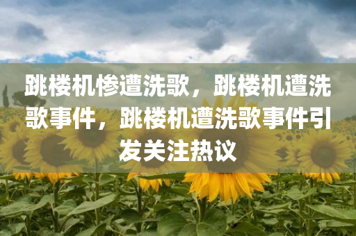 跳楼机惨遭洗歌，跳楼机遭洗歌事件，跳楼机遭洗歌事件引发关注热议