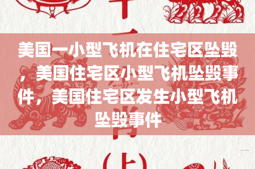 美国一小型飞机在住宅区坠毁，美国住宅区小型飞机坠毁事件，美国住宅区发生小型飞机坠毁事件