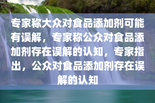 专家称大众对食品添加剂可能有误解，专家称公众对食品添加剂存在误解的认知，专家指出，公众对食品添加剂存在误解的认知