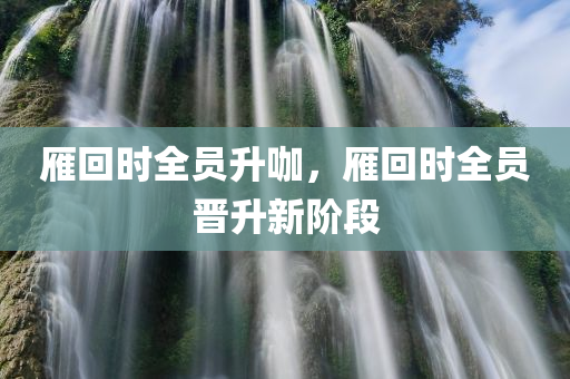 雁回时全员升咖，雁回时全员晋升新阶段