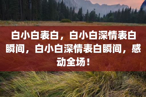 白小白表白，白小白深情表白瞬间，白小白深情表白瞬间，感动全场！