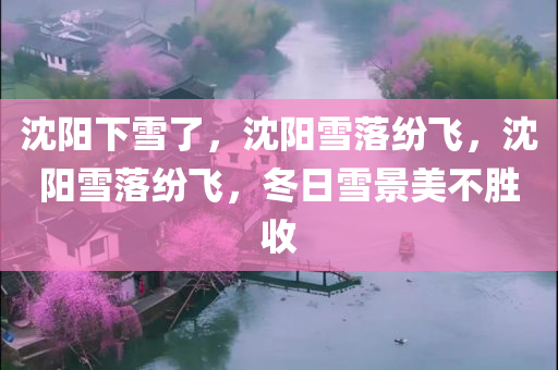 沈阳下雪了，沈阳雪落纷飞，沈阳雪落纷飞，冬日雪景美不胜收