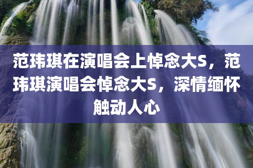 范玮琪在演唱会上悼念大S，范玮琪演唱会悼念大S，深情缅怀触动人心