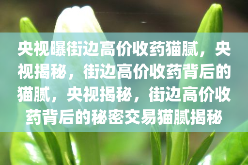 央视曝街边高价收药猫腻，央视揭秘，街边高价收药背后的猫腻，央视揭秘，街边高价收药背后的秘密交易猫腻揭秘