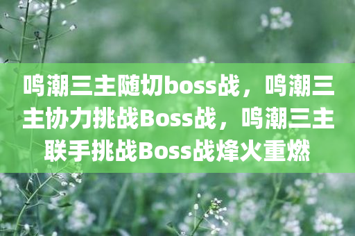 鸣潮三主随切boss战，鸣潮三主协力挑战Boss战，鸣潮三主联手挑战Boss战烽火重燃