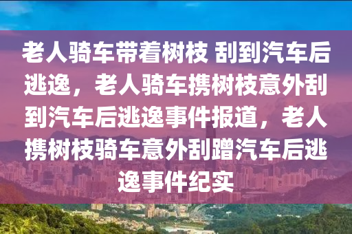 老人骑车带着树枝 刮到汽车后逃逸，老人骑车携树枝意外刮到汽车后逃逸事件报道，老人携树枝骑车意外刮蹭汽车后逃逸事件纪实