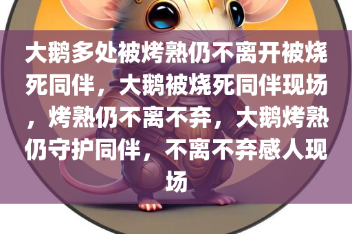大鹅多处被烤熟仍不离开被烧死同伴，大鹅被烧死同伴现场，烤熟仍不离不弃，大鹅烤熟仍守护同伴，不离不弃感人现场