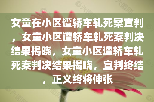 女童在小区遭轿车轧死案宣判，女童小区遭轿车轧死案判决结果揭晓，女童小区遭轿车轧死案判决结果揭晓，宣判终结，正义终将伸张