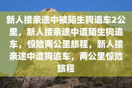 新人接亲途中被陌生狗追车2公里，新人接亲途中遭陌生狗追车，惊险两公里旅程，新人接亲途中遭狗追车，两公里惊险旅程