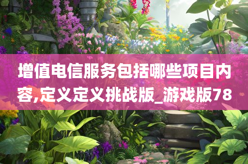 增值电信服务包括哪些项目内容,定义定义挑战版_游戏版78