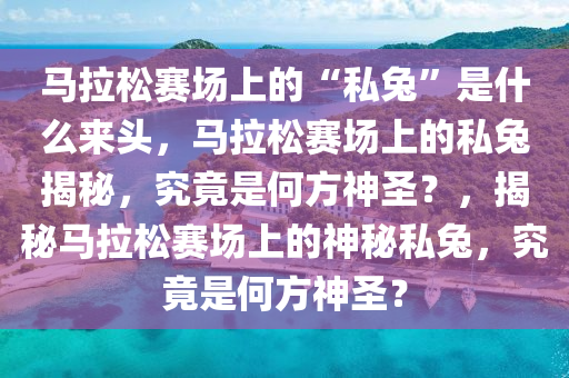 马拉松赛场上的“私兔”是什么来头，马拉松赛场上的私兔揭秘，究竟是何方神圣？，揭秘马拉松赛场上的神秘私兔，究竟是何方神圣？