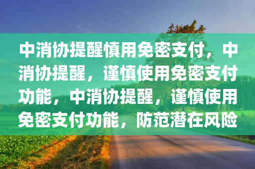 中消协提醒慎用免密支付，中消协提醒，谨慎使用免密支付功能，中消协提醒，谨慎使用免密支付功能，防范潜在风险
