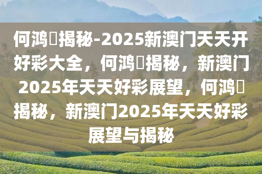 何鸿燊揭秘-2025新澳门天天开好彩大全，何鸿燊揭秘，新澳门2025年天天好彩展望，何鸿燊揭秘，新澳门2025年天天好彩展望与揭秘