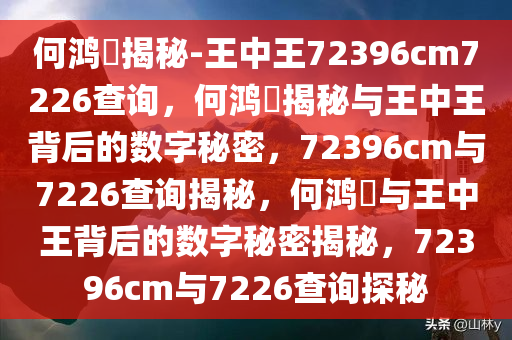 何鸿燊揭秘-王中王72396cm7226查询，何鸿燊揭秘与王中王背后的数字秘密，72396cm与7226查询揭秘，何鸿燊与王中王背后的数字秘密揭秘，72396cm与7226查询探秘