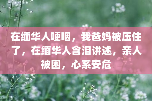 在缅华人哽咽，我爸妈被压住了，在缅华人含泪讲述，亲人被困，心系安危