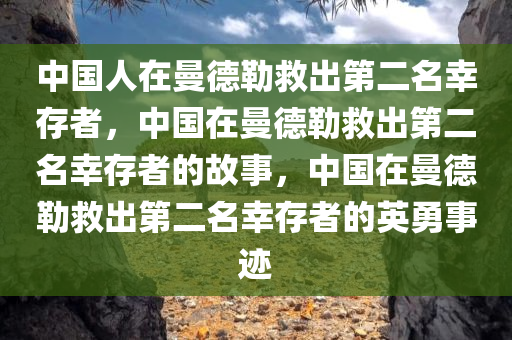 中国人在曼德勒救出第二名幸存者，中国在曼德勒救出第二名幸存者的故事，中国在曼德勒救出第二名幸存者的英勇事迹