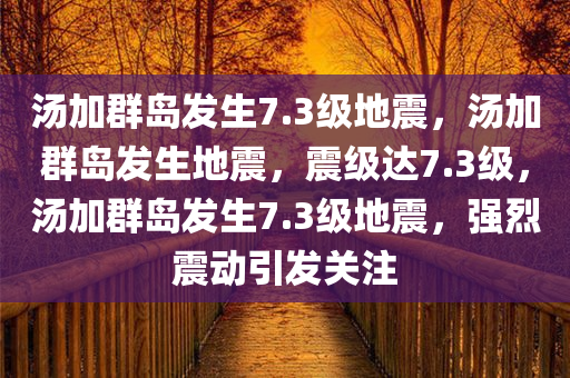 汤加群岛发生7.3级地震，汤加群岛发生地震，震级达7.3级，汤加群岛发生7.3级地震，强烈震动引发关注
