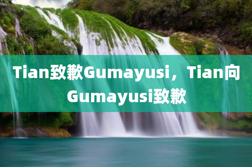 Tian致歉Gumayusi，Tian向Gumayusi致歉
