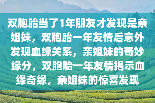 双胞胎当了1年朋友才发现是亲姐妹，双胞胎一年友情后意外发现血缘关系，亲姐妹的奇妙缘分，双胞胎一年友情揭示血缘奇缘，亲姐妹的惊喜发现
