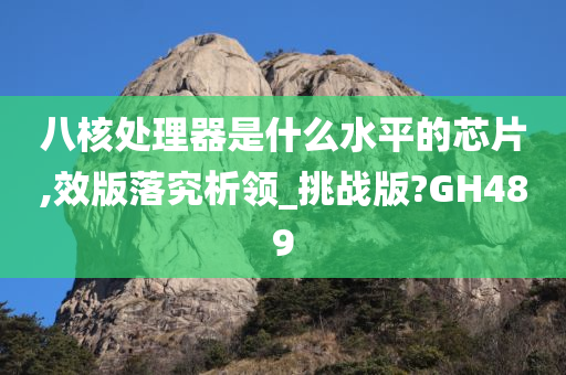八核处理器是什么水平的芯片,效版落究析领_挑战版?GH489