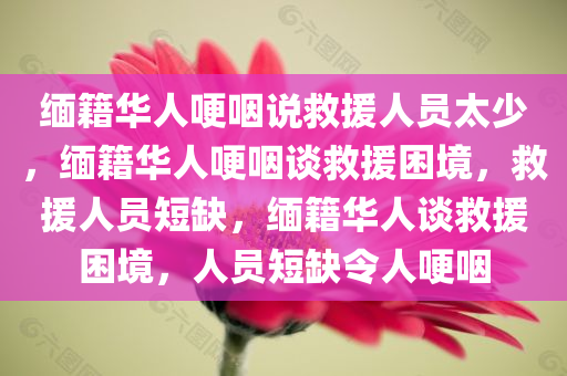 缅籍华人哽咽说救援人员太少，缅籍华人哽咽谈救援困境，救援人员短缺，缅籍华人谈救援困境，人员短缺令人哽咽