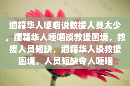 缅籍华人哽咽说救援人员太少，缅籍华人哽咽谈救援困境，救援人员短缺，缅籍华人谈救援困境，人员短缺令人哽咽