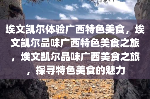 埃文凯尔体验广西特色美食，埃文凯尔品味广西特色美食之旅，埃文凯尔品味广西美食之旅，探寻特色美食的魅力