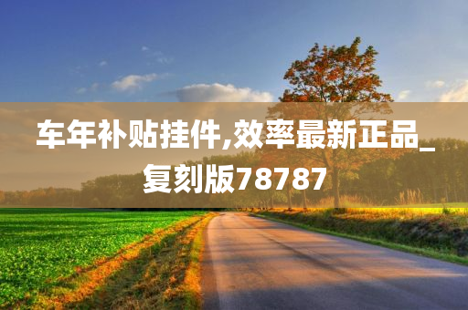 车年补贴挂件,效率最新正品_复刻版78787
