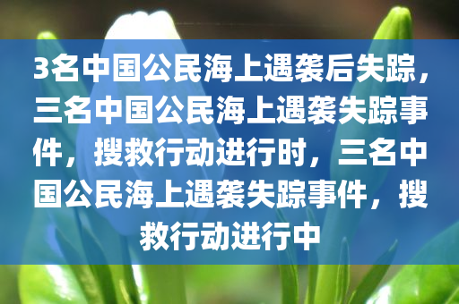 3名中国公民海上遇袭后失踪，三名中国公民海上遇袭失踪事件，搜救行动进行时，三名中国公民海上遇袭失踪事件，搜救行动进行中