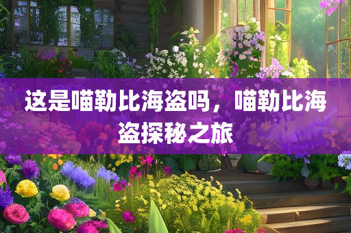 这是喵勒比海盗吗，喵勒比海盗探秘之旅