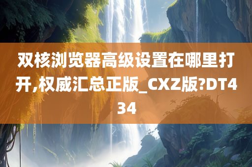 双核浏览器高级设置在哪里打开,权威汇总正版_CXZ版?DT434