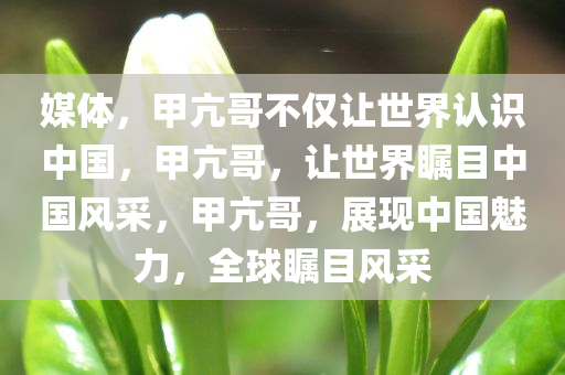 媒体，甲亢哥不仅让世界认识中国，甲亢哥，让世界瞩目中国风采，甲亢哥，展现中国魅力，全球瞩目风采