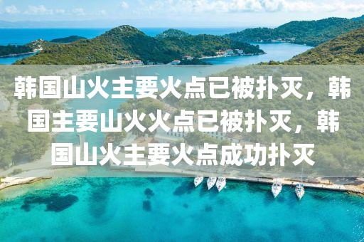 韩国山火主要火点已被扑灭，韩国主要山火火点已被扑灭，韩国山火主要火点成功扑灭