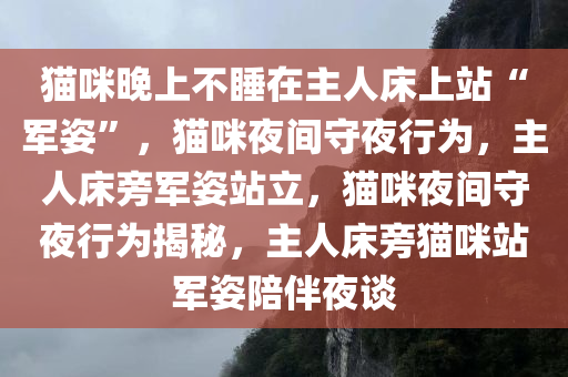 猫咪晚上不睡在主人床上站“军姿”，猫咪夜间守夜行为，主人床旁军姿站立，猫咪夜间守夜行为揭秘，主人床旁猫咪站军姿陪伴夜谈