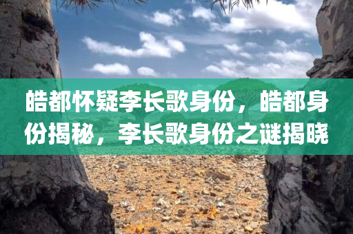 皓都怀疑李长歌身份，皓都身份揭秘，李长歌身份之谜揭晓