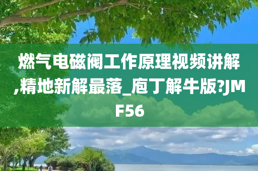 燃气电磁阀工作原理视频讲解,精地新解最落_庖丁解牛版?JMF56