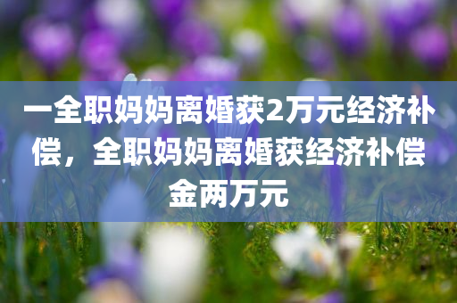 一全职妈妈离婚获2万元经济补偿，全职妈妈离婚获经济补偿金两万元