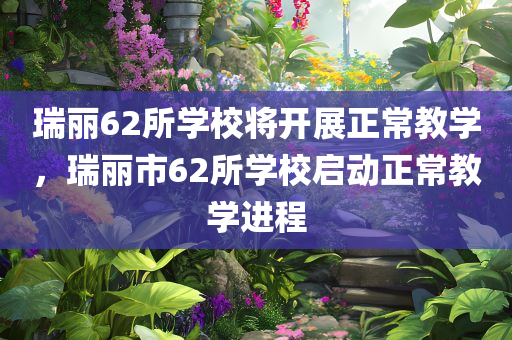 瑞丽62所学校将开展正常教学，瑞丽市62所学校启动正常教学进程