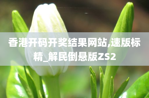 香港开码开奖结果网站,速版标精_解民倒悬版ZS2