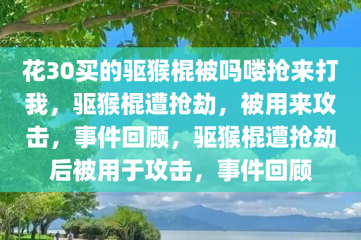 花30买的驱猴棍被吗喽抢来打我，驱猴棍遭抢劫，被用来攻击，事件回顾，驱猴棍遭抢劫后被用于攻击，事件回顾