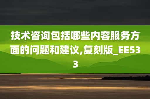 技术咨询包括哪些内容服务方面的问题和建议,复刻版_EE533