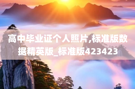 高中毕业证个人照片,标准版数据精英版_标准版423423