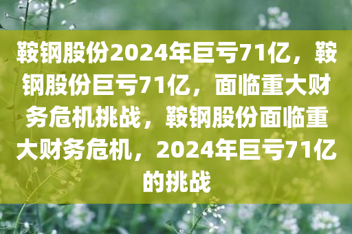 鞍钢股份2024年巨亏71亿，鞍钢股份巨亏71亿，面临重大财务危机挑战，鞍钢股份面临重大财务危机，2024年巨亏71亿的挑战