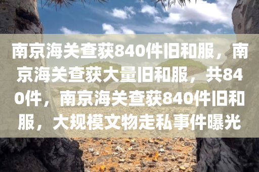 南京海关查获840件旧和服，南京海关查获大量旧和服，共840件，南京海关查获840件旧和服，大规模文物走私事件曝光