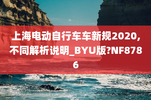 上海电动自行车车新规2020,不同解析说明_BYU版?NF8786