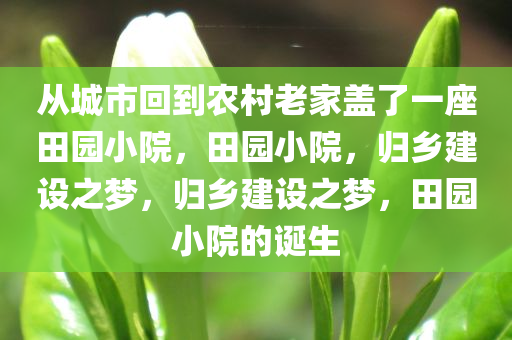 从城市回到农村老家盖了一座田园小院，田园小院，归乡建设之梦，归乡建设之梦，田园小院的诞生