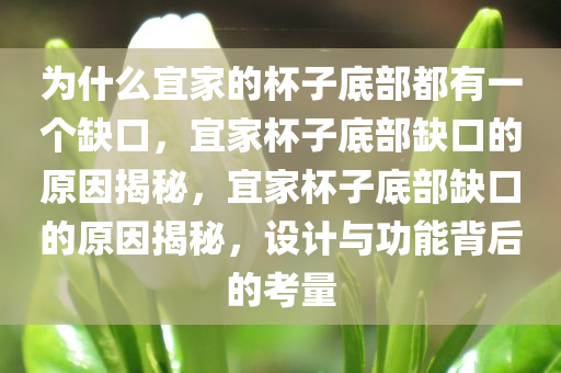 为什么宜家的杯子底部都有一个缺口，宜家杯子底部缺口的原因揭秘，宜家杯子底部缺口的原因揭秘，设计与功能背后的考量